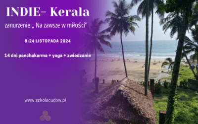 INDIE- Kerala- zanurzenie